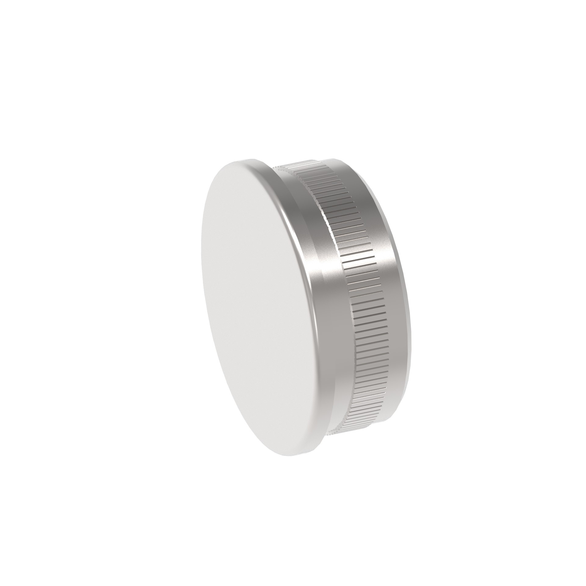 Endkappe Edelstahl AISI 316 D42-4x2-0 flach Glanz-89-11A145732242L-A.4