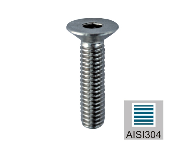 Befestigungsschraube - mit Gewinde- M6x16 mm - fuer Blechhalter - V2A-13-2002-A.4