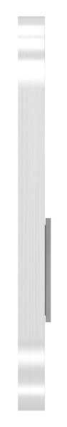 Kurzschild- Abmessung- 32 x 87 x 6mm- V2A-88-1115099.240
