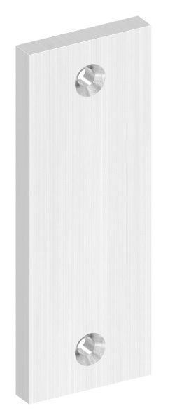 Kurzschild blind Edelstahl V2A 32 x 87 x 6 mm geschliffen Korn 240-88-1110652.240