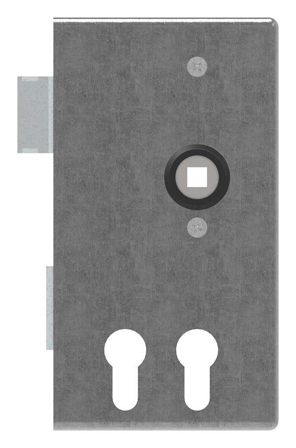 Schlosskasten - fuer 2 Profilzylinder - Masse- 30x94x172 mm - Stahl S235JR- roh - AMF Artikel- 11163-30-3250.8