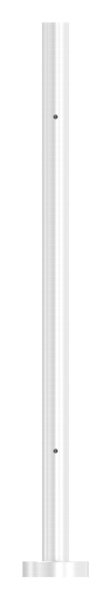 Gelaenderpfosten - fuer 2 Glasklemmen M8 - Laenge- 880 mm - V2A-14-0010.4