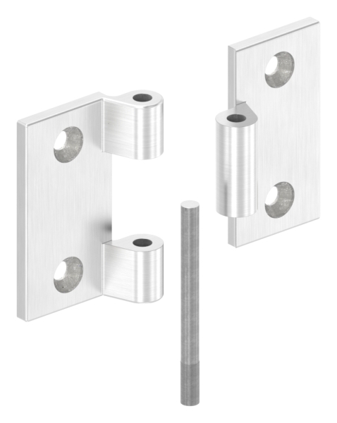 Anschraubscharnier Edelstahl V4A fuer flache Profile zum Anschrauben-88-1156520-V4A.00