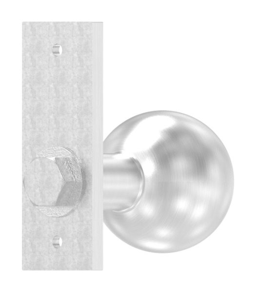 Tuerknopf Edelstahl V2A Ø 50 mm geschliffen mit Kurzschild feststehend-88-1156647.240